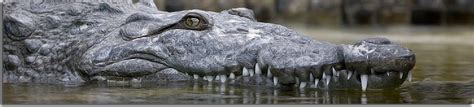 Everglades National Park