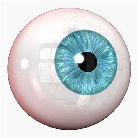 Realistic Eyeball 3D model - Download Free 3D models