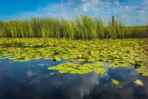 Exploring the Danube Delta in Romania: A guide for independent travellers