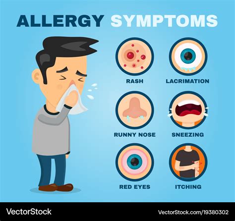 Allergy symptoms problem infographic Royalty Free Vector