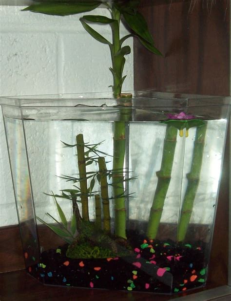 Aquarium - Bamboo Forest by dogatemymanuscript on deviantART