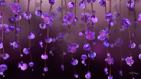 Free photo: Purple Flower Wallpaper - Beautiful, Fresh flowers, Photography - Free Download - Jooinn