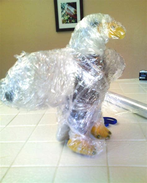 Plastic Wrap Sculptures! : 6 Steps (with Pictures) - Instructables