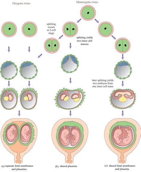 OLCreate: HEAT_LDC_ET_1.0 Labour and Delivery Care Module: 8. Abnormal Presentations and ...