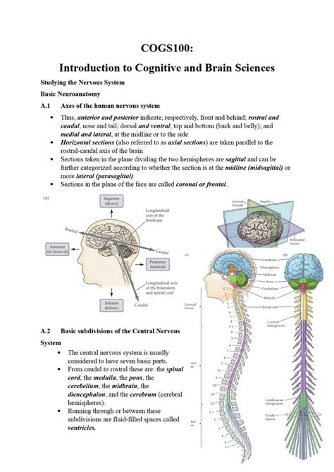 Introduction to Cognitive and Brain Sciences Notes | COGS1000 ...