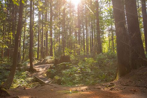 Explore Riverview Forest Park’s Fresh Trails - Tourism Coquitlam