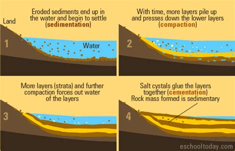 Sedimentary Rocks - Science