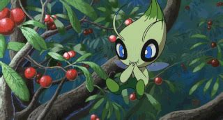 Celebi Events | Wiki | Pokémon Amino