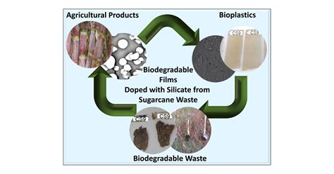 Biodegradable Films Derived from Corn and Potato Starch and Study of ...