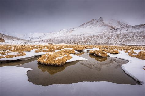 Images - Magical Snow Filled Winters in Ladakh - Darter Photography