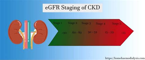 eGFR Staging of CKD - 5 important stages of kidney failure - Home Haemodialysis Care