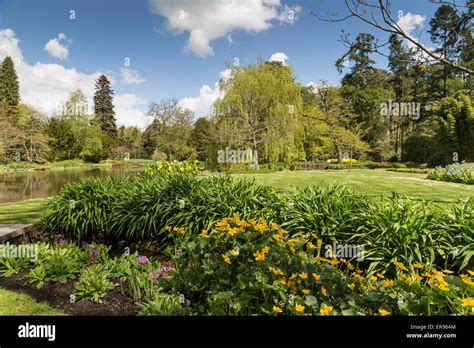 Longstock Park Water Garden, John Lewis Leckford Estate, Stockbridge ...