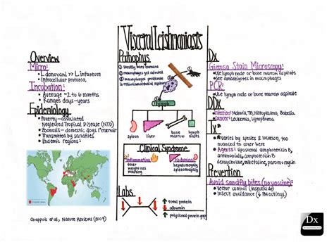 Visceral Leishmaniasis – The Clinical Problem Solvers