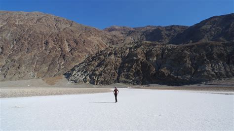 Wild Harvests: Death Valley