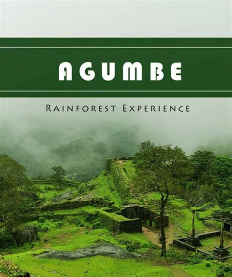 Weekend Trip to Agumbe Rainforest | Bangalore