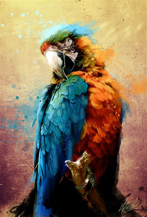 Parrot | Macaw art, Parrots art, Parrot painting