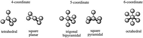 Transition metal complexes