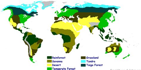 Ecology - Mantis Shrimp Resource