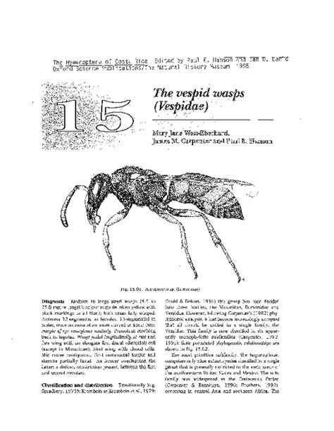 (PDF) The vespid wasps (Vespidae) | James M Carpenter - Academia.edu