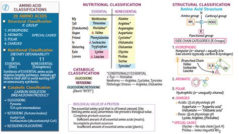 MCAT Biology & Biochemistry: Amino Acid Classification Systems | ditki medical & biological sciences