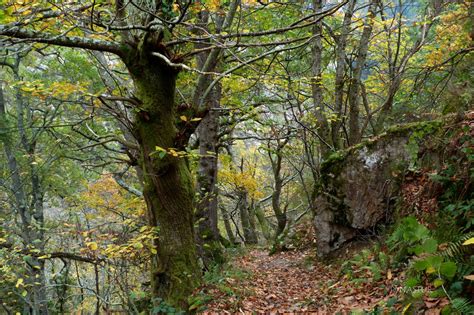 Hiking and Walking in Asturias Spain: HIKING PATHWAY TO BANDUJO ...