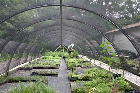 Native Plant Nursery - Bowman's Hill Wildflower Preserve