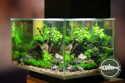 The Best Aquarium LED Lighting: A Complete Buying Guide - Badman's ...