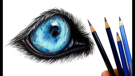 Wolf Eyes Drawing Color - Goimages Connect