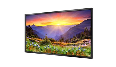 65” High Brightness Professional Monitor - Digital Frames Direct