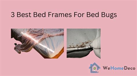 3 Best Metal Bed Frames For Bed Bugs | We Home Deco