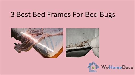 3 Best Metal Bed Frames For Bed Bugs | We Home Deco