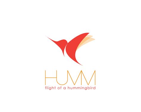 hummingbird logo on Behance