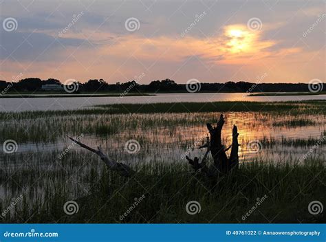 Marshland Sunset stock photo. Image of beauty, marsh - 40761022