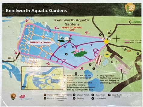 “Kenilworth Aquatic Gardens is OPEN from 8 to 4 now!” - PoPville