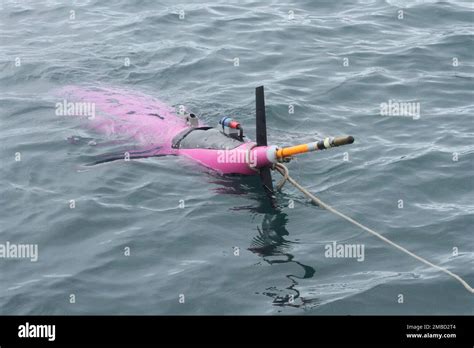 This May 4, 2022, photo shows an underwater glider bobbing in the Gulf of Alaska. The glider was ...