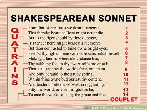 How to Write a Sonnet Like Shakespeare (with Sample Sonnet)