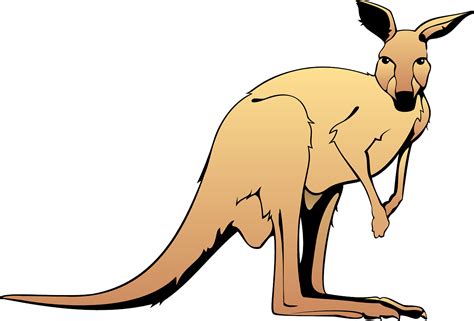 Brown Australia Canguro - Grafica vettoriale gratuita su Pixabay - Pixabay