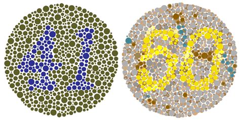 Color Blindness Simulation on the ZWZ Page