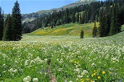 Jackson Hole Hiking Trails, Wyoming Hikes - AllTrips