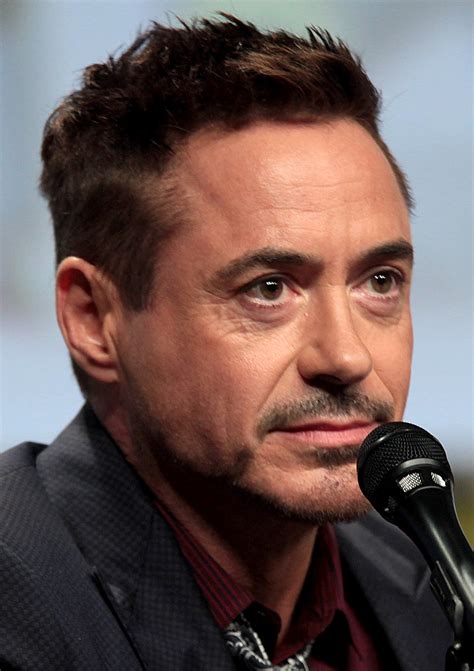 Robert Downey Jr. - Wikipedia