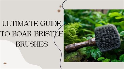 The Ultimate Guide to Boar Bristle Brushes: Benefits, Styling, and Eco ...