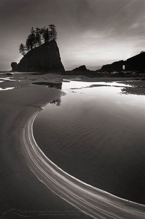 Second Beach Olympic National Park - Alan Majchrowicz Photography