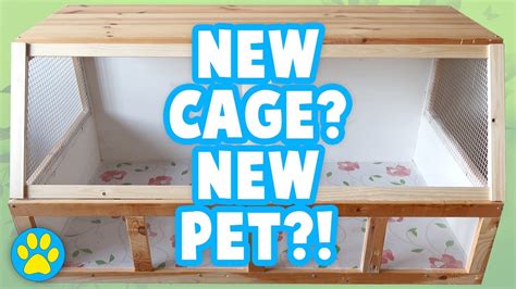 DIY Wood Hamster Cage | Building The Bunsen 1069sq inches [1/3] - YouTube