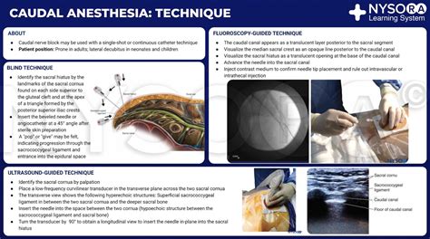 CH20_Caudal anesthesia_Technique - NYSORA | NYSORA