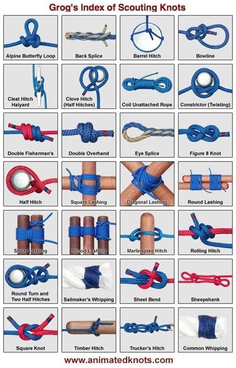 Essential Knots for Camping, Survival and Backpacking - Thrifty ...