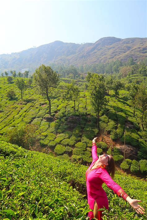 Munnar Travel Guide, Kerala, India – The Globetrotting Detective