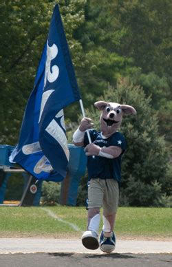 Moravian College Athletics - Amos The Greyhound in the Finals of 2011 ...