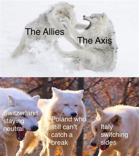 Wolves fighting added to three wolves : r/MemeTemplatesOfficial