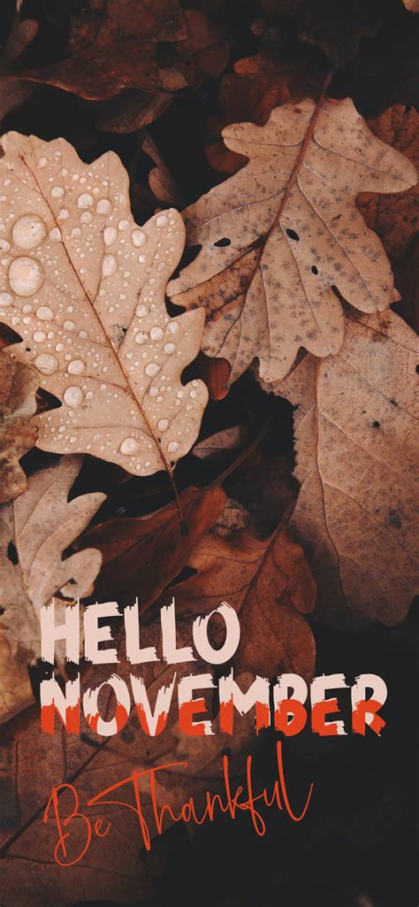 Free download Download Hello November Be Thankful Wallpaper [887x1920 ...