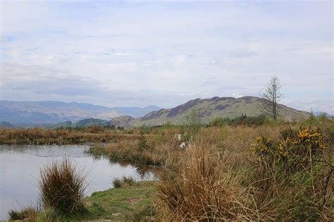 Scenery Highlands Scotland by OffiDocs for office